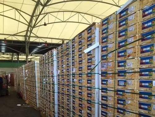 【头条】河西出大事了: 800平水果仓储工厂店公然挑战价格极限!